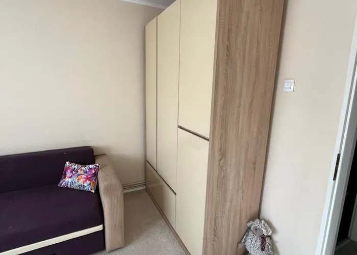 The Office-scortarilor Apartment Cluj-Napoca