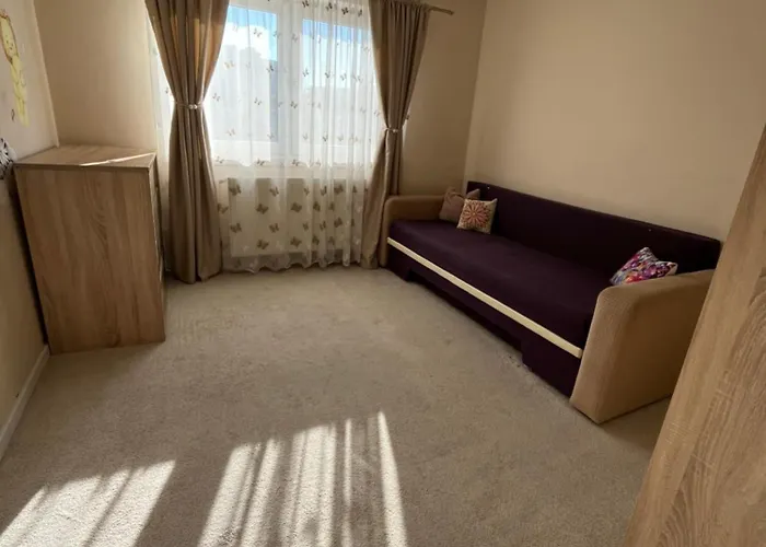 The Office-scortarilor Cluj-Napoca